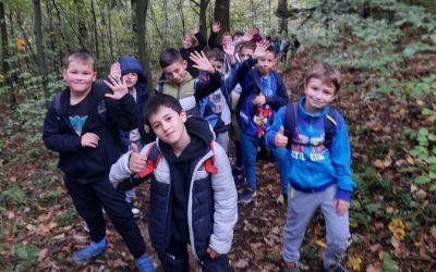 Naravoslovni dan GOZD v 3. razredu